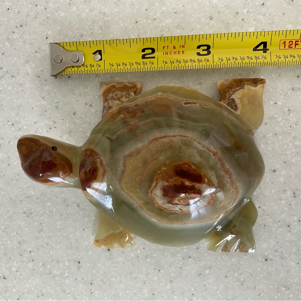 Beautiful marble turtle . - Picture 9 of 10